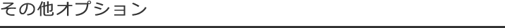 その他オプション