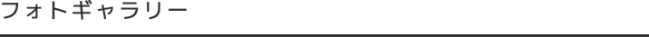 フォトギャラリー