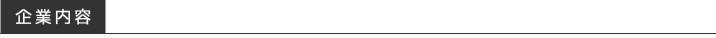 企業内容